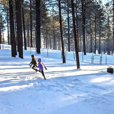 Close To Williams, Flagstaff, Grand Canyon And Sedona Esterno foto