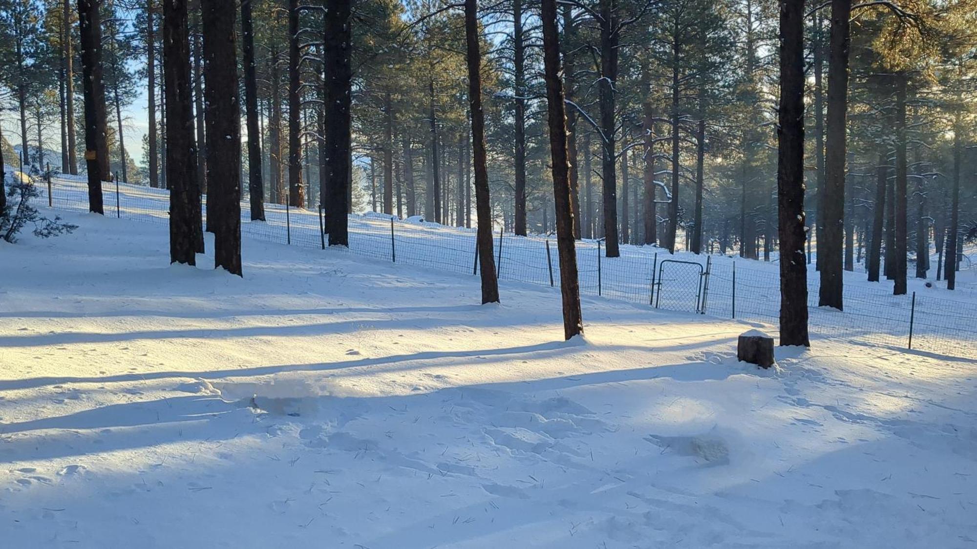 Close To Williams, Flagstaff, Grand Canyon And Sedona Esterno foto