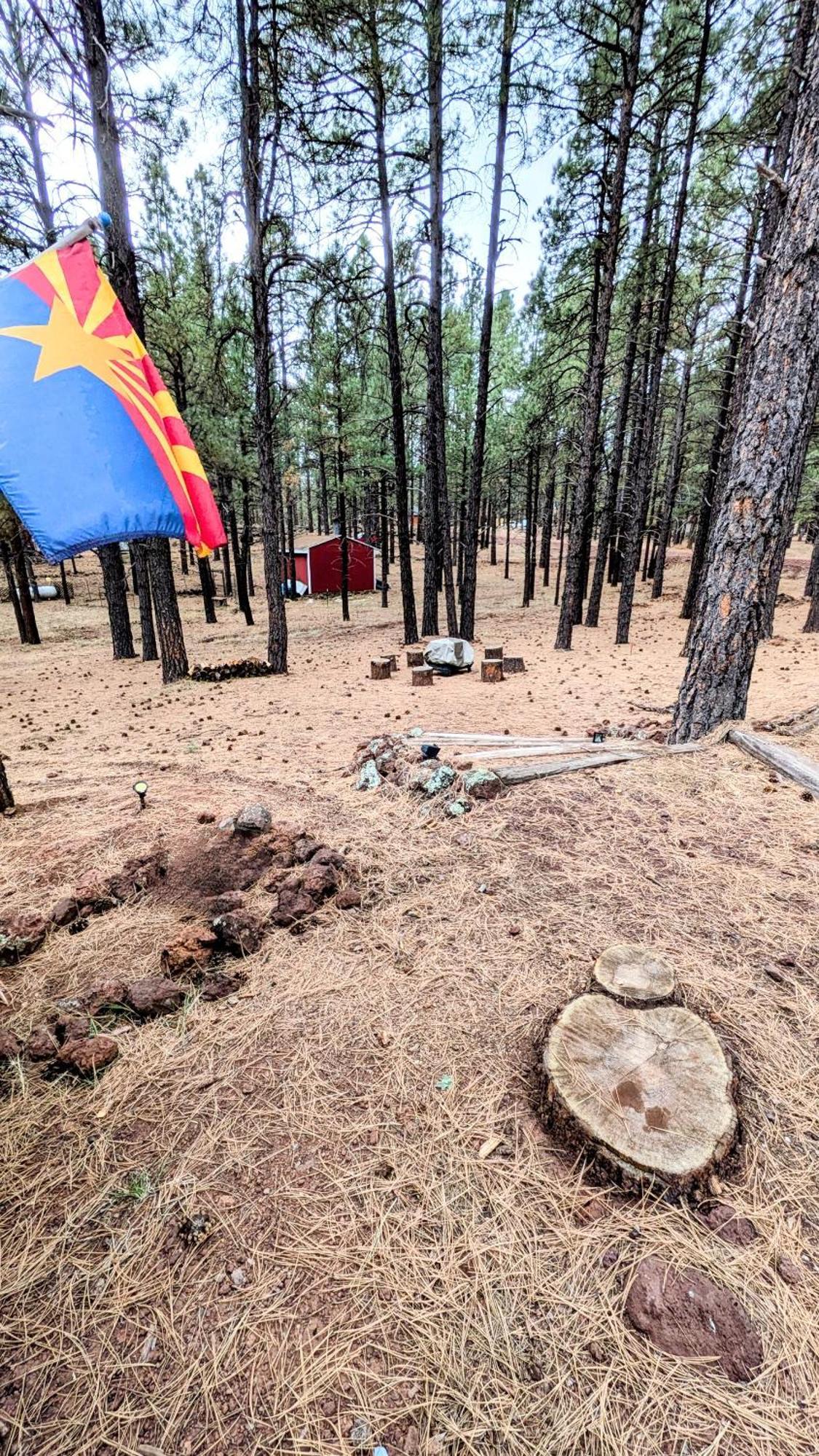 Close To Williams, Flagstaff, Grand Canyon And Sedona Esterno foto