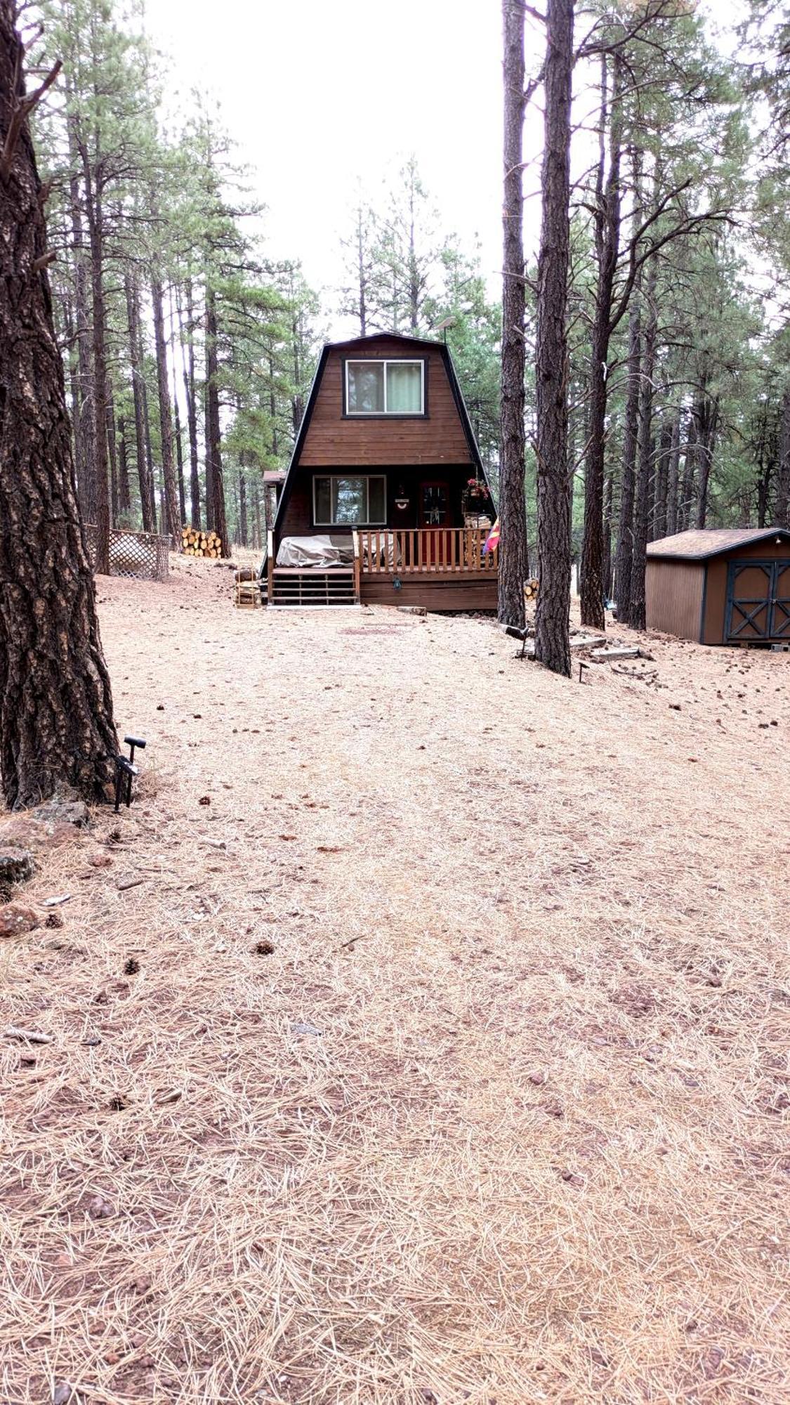 Close To Williams, Flagstaff, Grand Canyon And Sedona Esterno foto